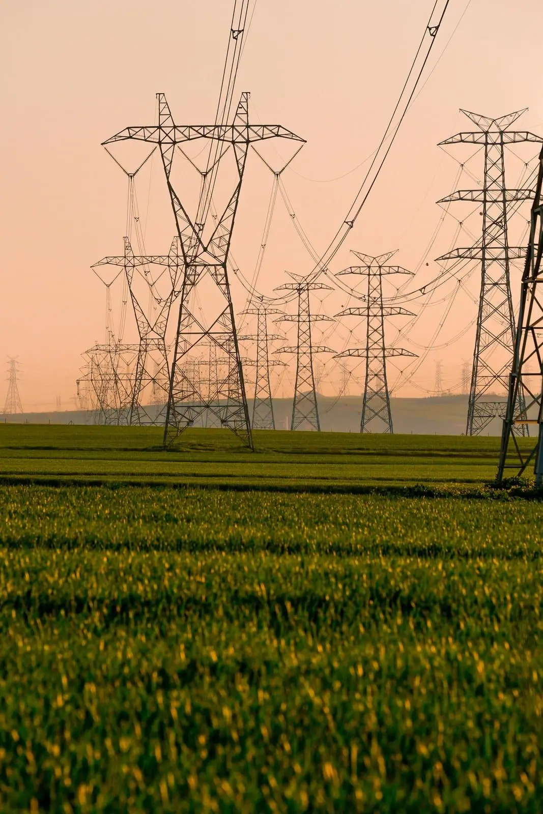 Tall transmission towers carrying power lines across a field at sunset.